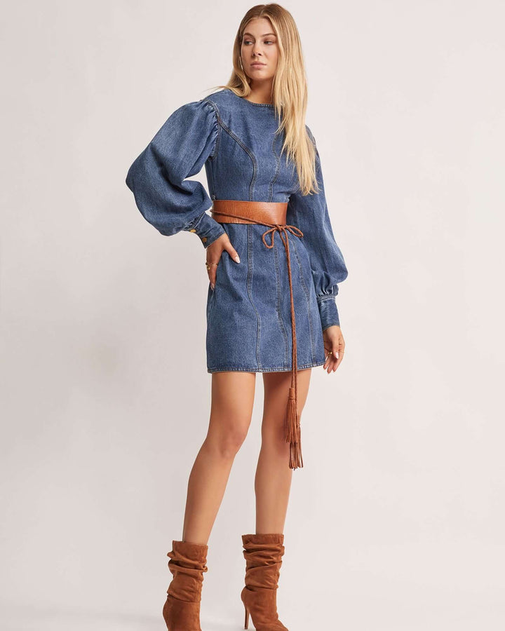 Waterlily Denim Mini Dress